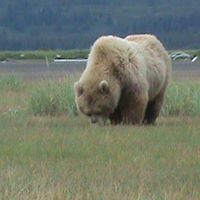 Della Simmons Photo 25