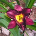 Linda Beck Photo 21