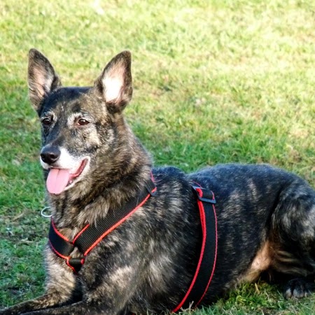 Jacky Richter Photo 6