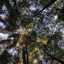 Miguel Otero Photo 24 Miguel Otero Photo 24