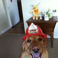 Susan Reber Photo 22