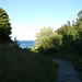 Doris Mccarthy Photo 16