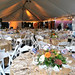 Carole Mooney Photo 15