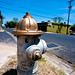 Mathew Rodriguez Photo 24