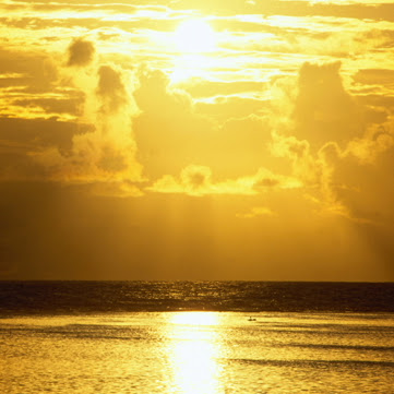 Angie Urbina Photo 4