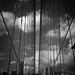 Edgar Cuevas Photo 34