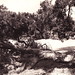 Kevin Gorman Photo 19