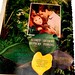 Audrey Green Photo 6
