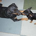 Judy Adams Photo 8