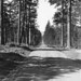 William Mckenzie Photo 42