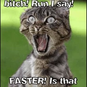 Jimmy Elliott Photo 39