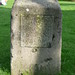 Harold King Photo 35