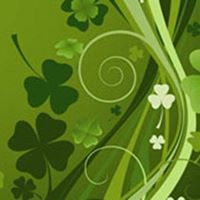 Tracy Moran Photo 13