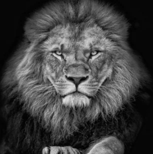 Felipe Vazquez Photo 34