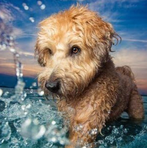 Constance Lewis Photo 28