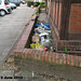 June Bolger Photo 7