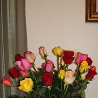 Marie Wyatt Photo 23