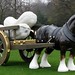Sarah Lucas Photo 23
