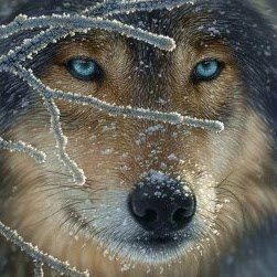 Sheila Forman Photo 17