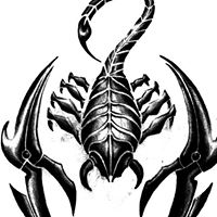 Raymond Benavidez Photo 12