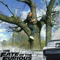 Deborah Metz Photo 8