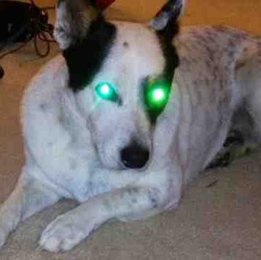 Michael Sommers Photo 23 Michael Sommers Photo 23