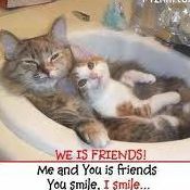 Jamie Tyler Photo 43