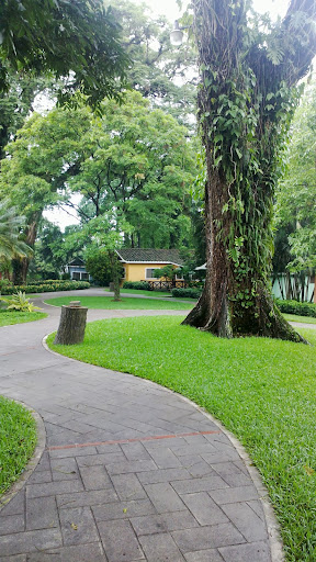 Fernando Ayala Photo 10