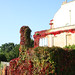 Clifton Hedges Photo 7