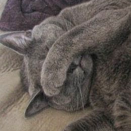 Joanne Fleming Photo 33