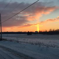 Teresa Graham Photo 48