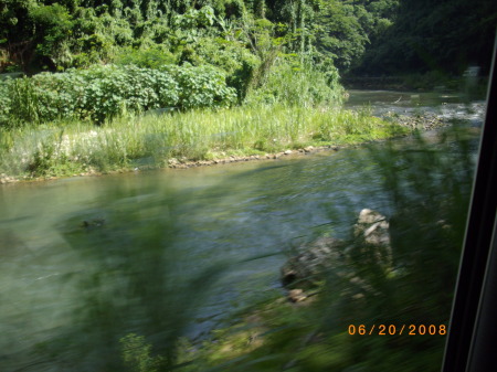 Tamara Howe Photo 15