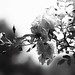 Dirk Whiting Photo 7