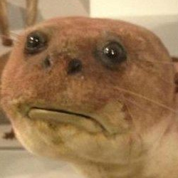 Justin Hawthorne Photo 23