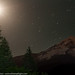 Randall Moon Photo 26