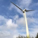 Victor Chang Photo 27