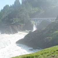 Kimberly Colvin Photo 19