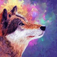 Franklin Sharpe Photo 5