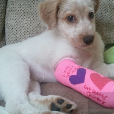 John Siegel Photo 17