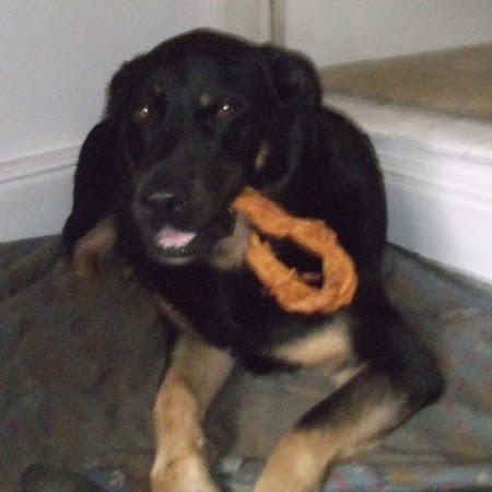 Katie Sutton Photo 31