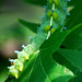 Sharon Cox Photo 19