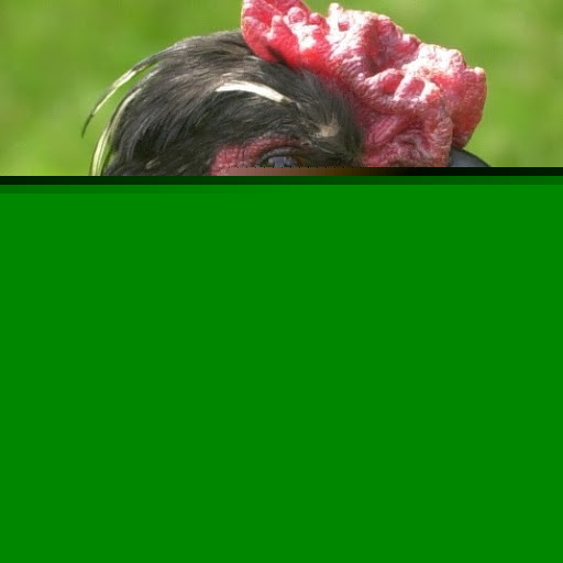 Debbie Cornelius Photo 22