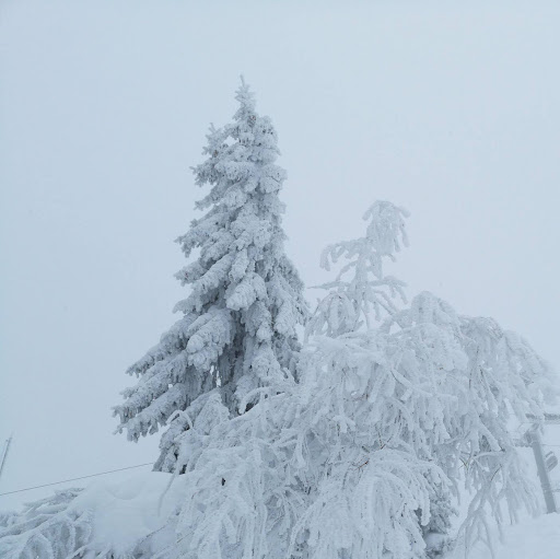 Jack Hooper Photo 40