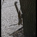 Edgardo Garcia Photo 15