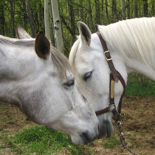 Leah Hickman Photo 3