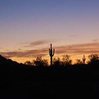 Stacy Morris Photo 19