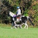 Marilyn Kraus Photo 8