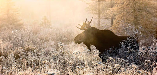 Andrew Michael Photo 37