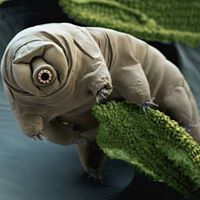 Tara Simmons Photo 16