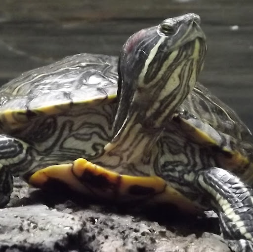 Jerry Grimm Photo 13